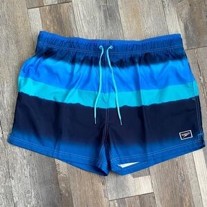 Speedo Men's Swimm Shorts in Blue and Black